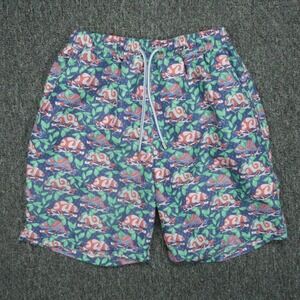 Peter Millar Swim Trunks Mens Medium Blue Green Karma Chameleon Lined Shorts